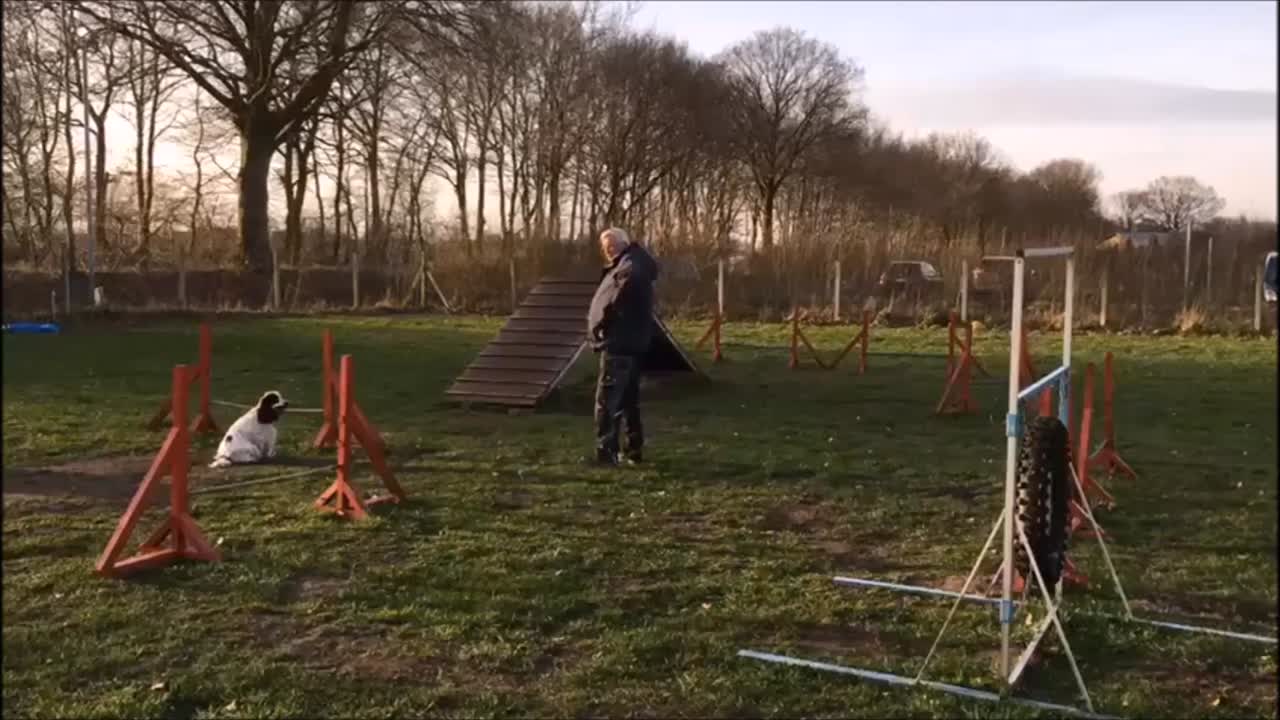 Agility mit Emma